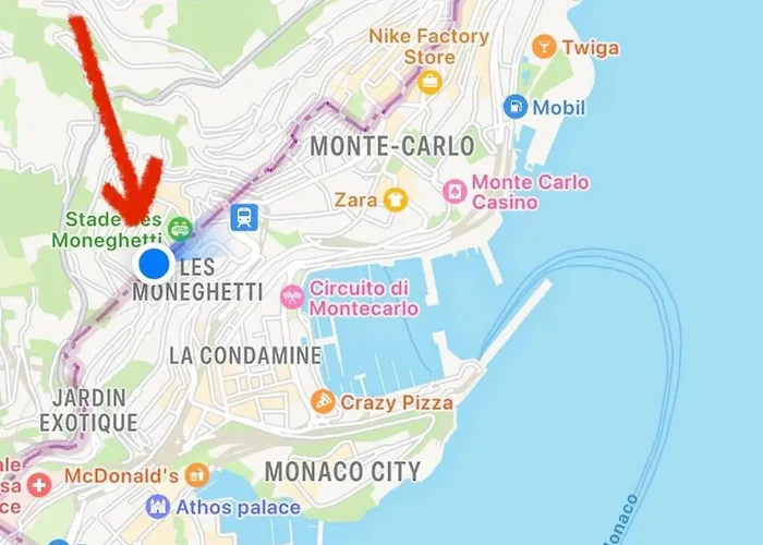 Monte Carlo Border One Bedroom 아파트 *